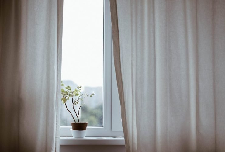 biljka-zavesa-prozor