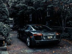 automobil-dvoriste