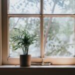 Buđ oko prozora nije samo estetski problem evo zašto-prozor-saksija